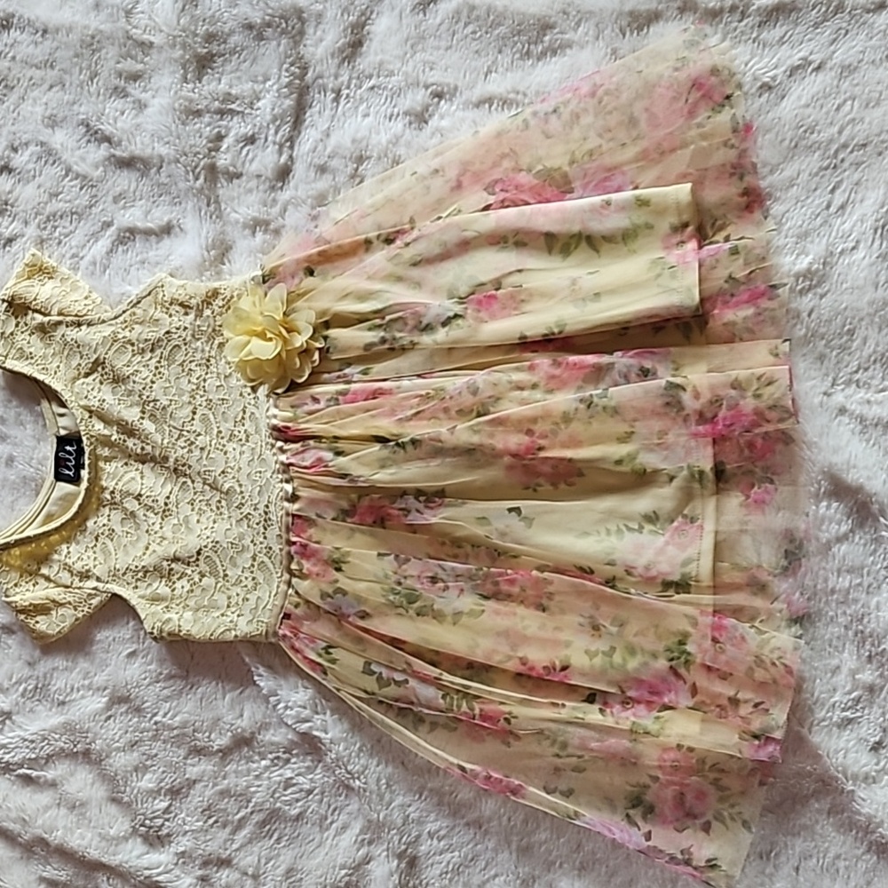 Little girl lace and floral dress